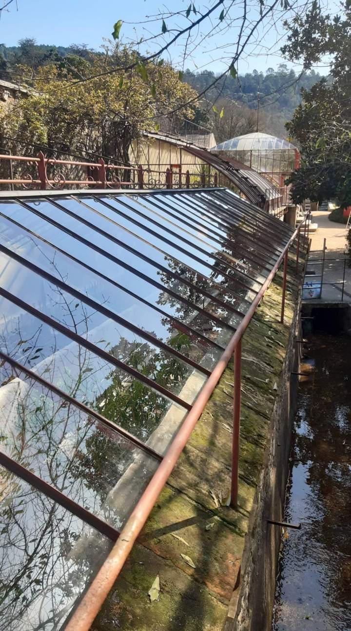 Nettoyage vitrage de serre Alès